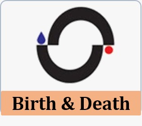 birth death